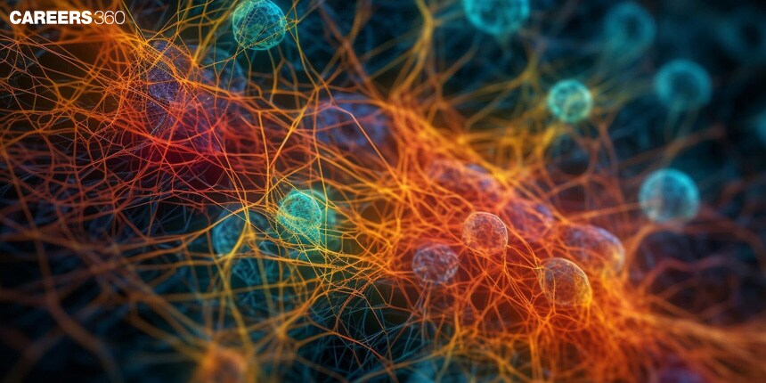 Generation, Conduction And Transmission Of Nerve Impulse: Process & Types