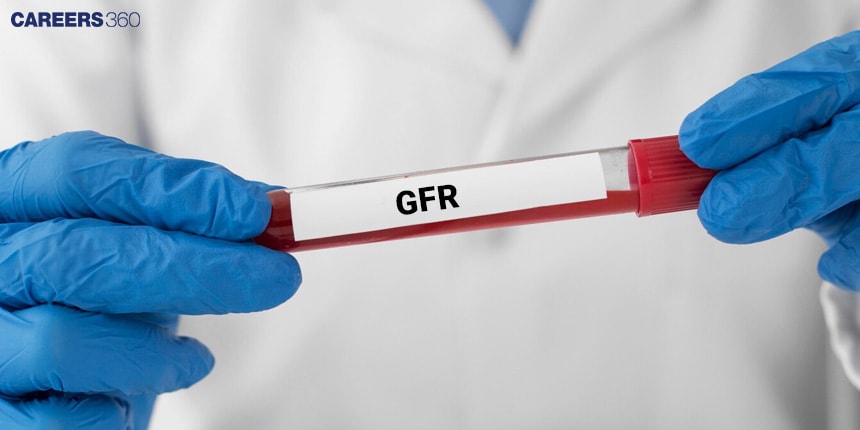 Glomerular Filtration Rate