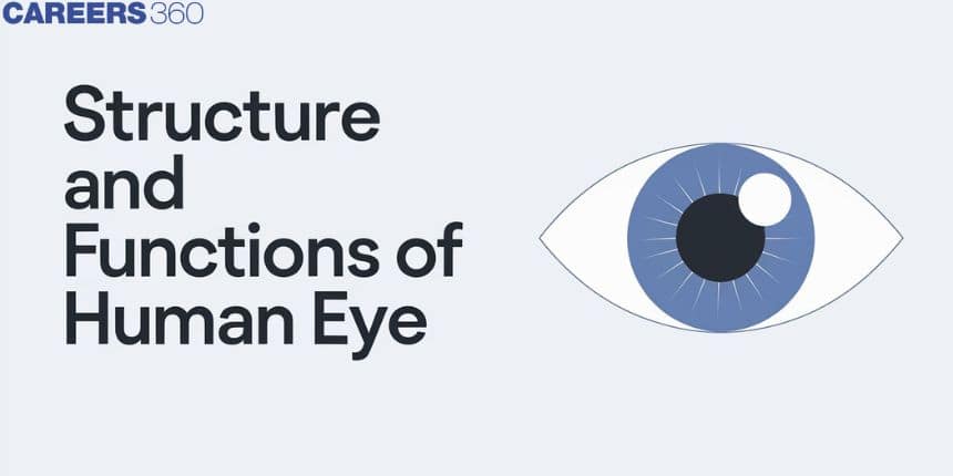 Structure And Functions Of Human Eye