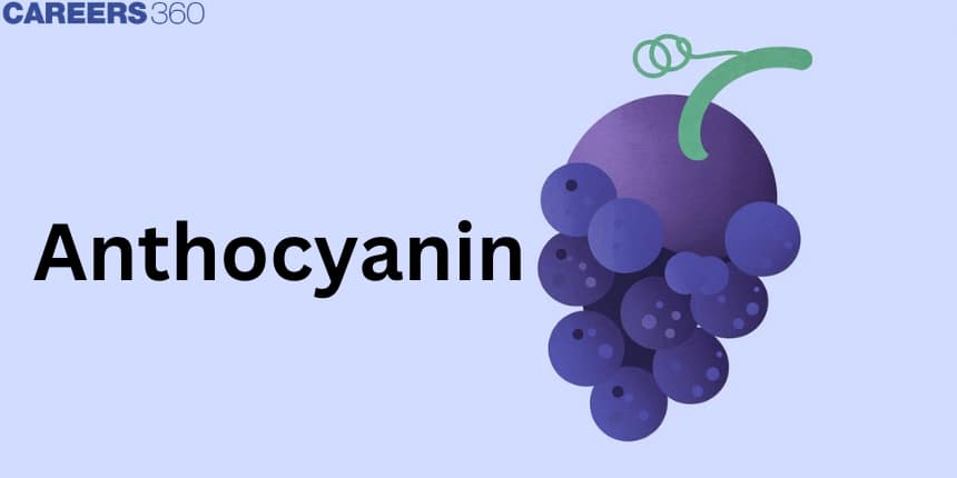 Anthocyanin: Structure, Properties, Classification, Source, Uses