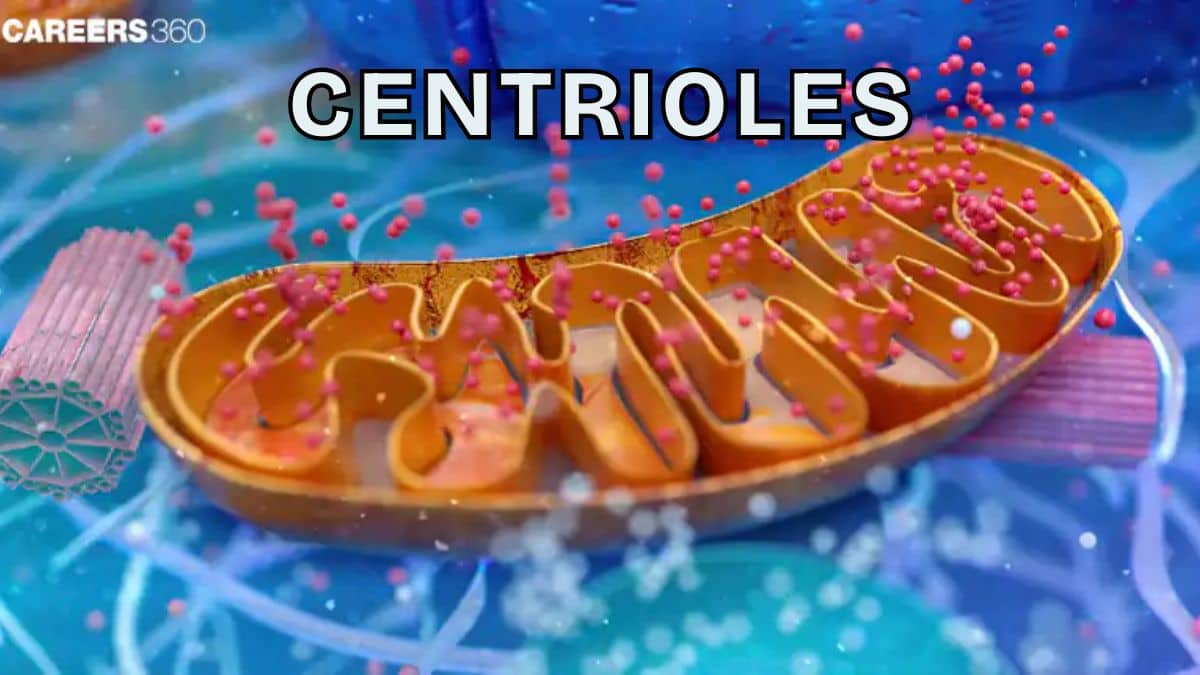 Centrioles: Definition, Structure, Function, Parts, Roles