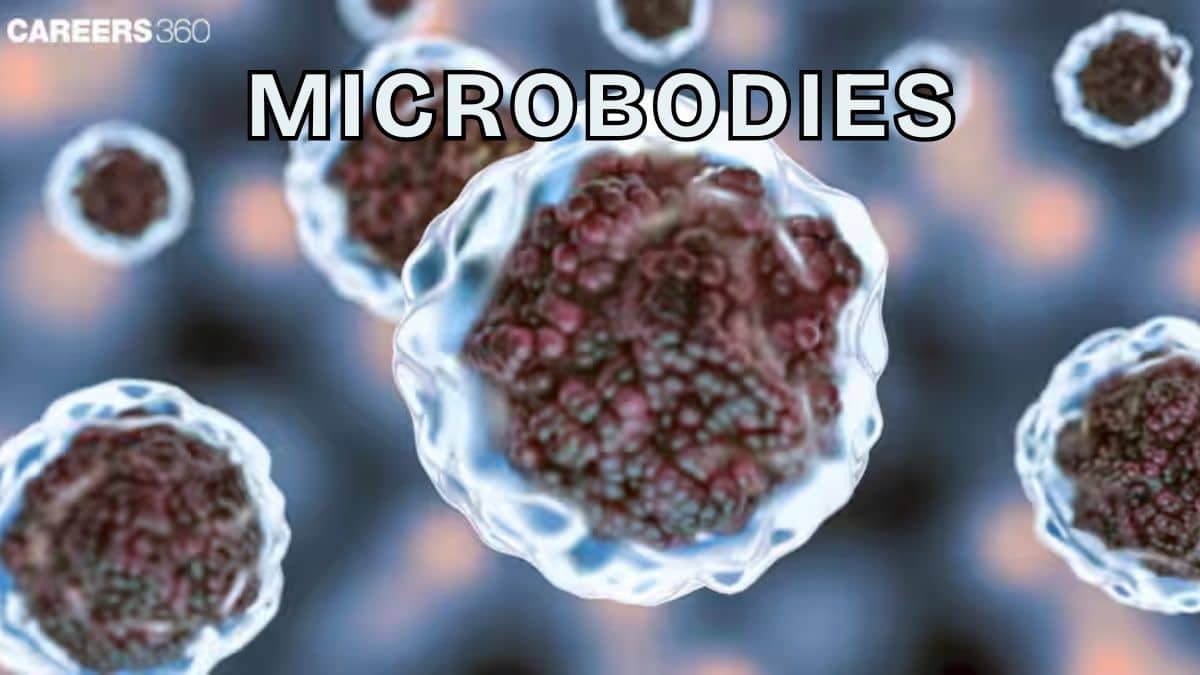 MICROBODIES: Definition, Types, Examples, Diagram, Functions