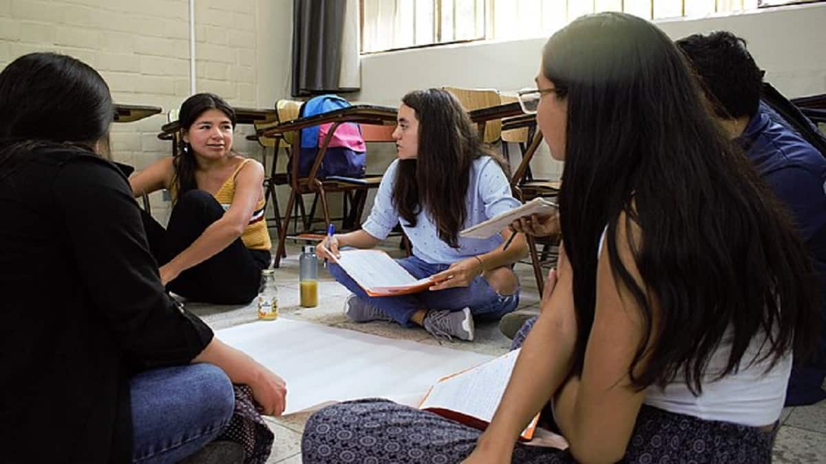 ICAR Counselling 2025: BSc Agriculture admissions begins soon. (Representational image: Wikimedia Commons)