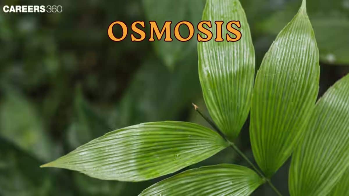 Osmosis: Definition, Types, Osmotic Pressure, Examples, & Facts