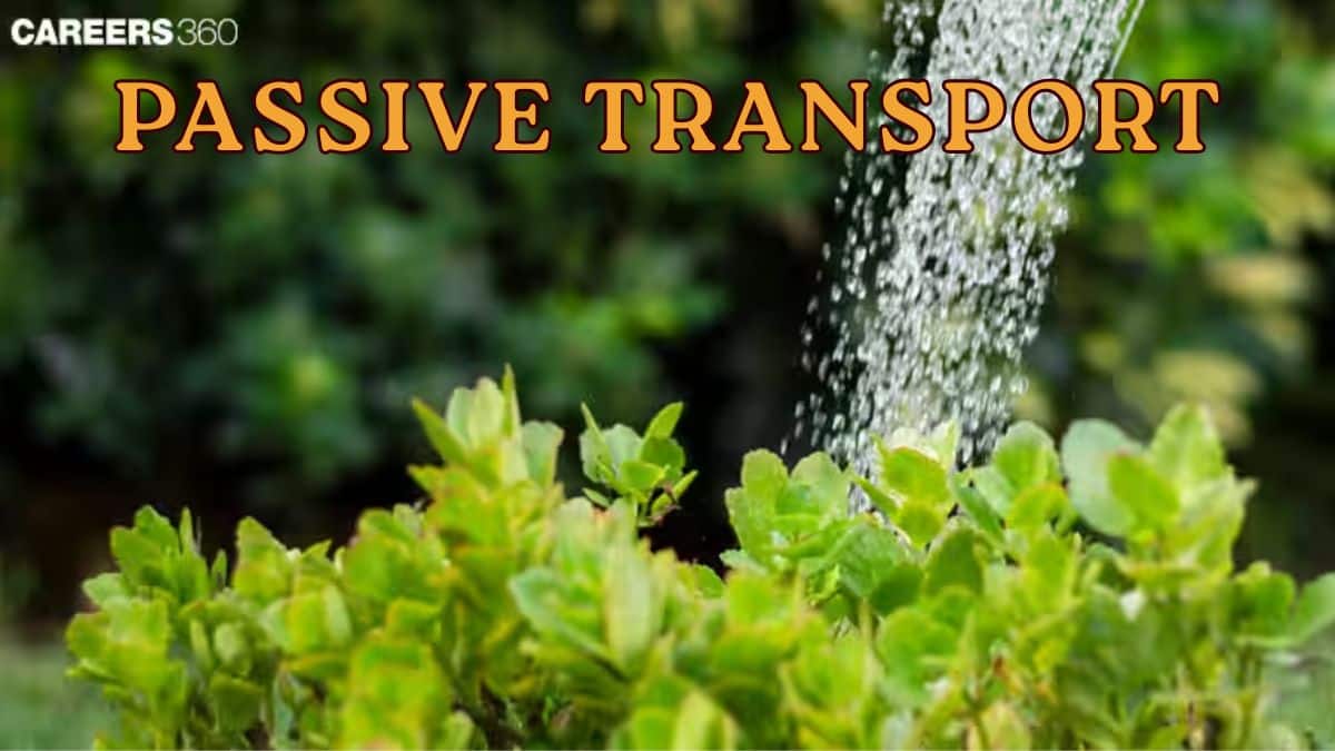 Passive Transport: Definition, Overview, Types, Examples, Difference