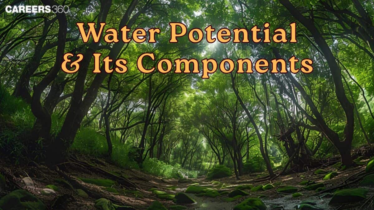 Water Potential and Its Components