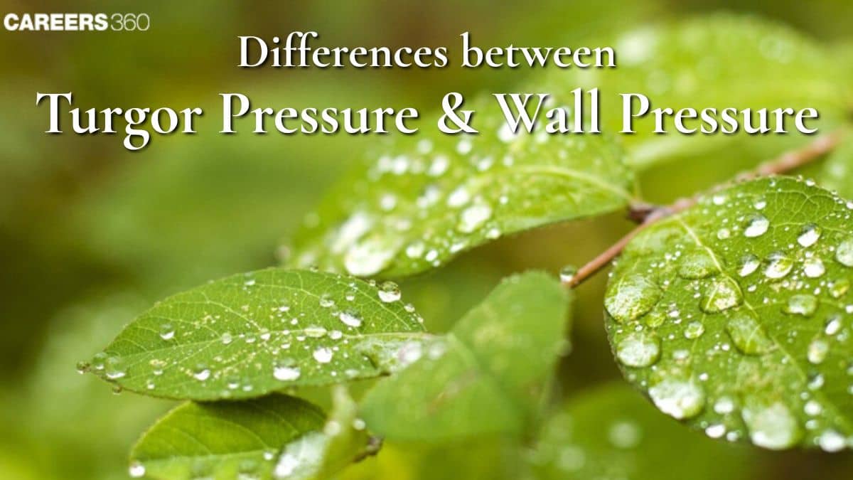 Differences Between Turgor Pressure and Wall Pressure: Overview, Examples