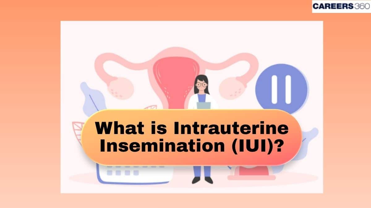 What is Intrauterine Insemination (IUI)?