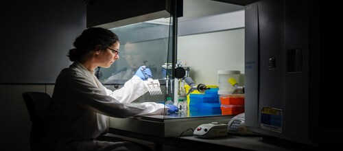 India UK Ramanujan fellowship programme India UK Ramanujan fellowship programme