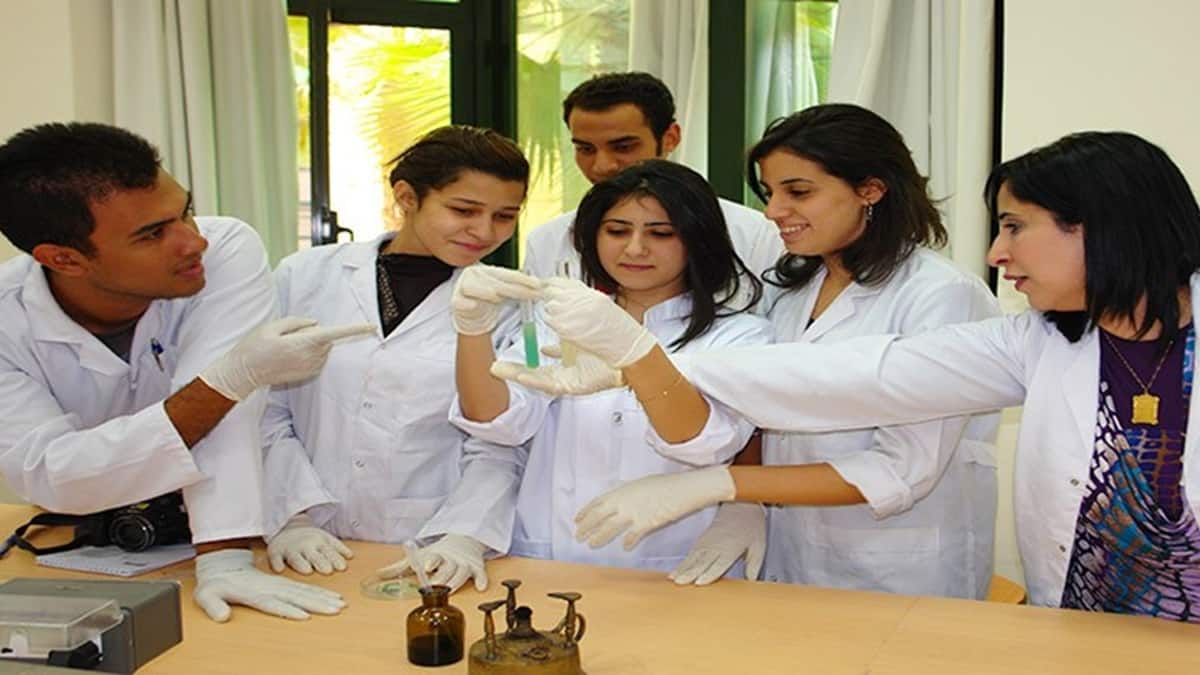 NEET SS 2025 exam date revised again; exam now on December 26, 27. (Representational Image: Pexels.com)