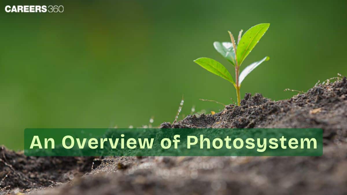 An Overview of Photosystem: Definition, Location, Function, Types, Steps, FAQs
