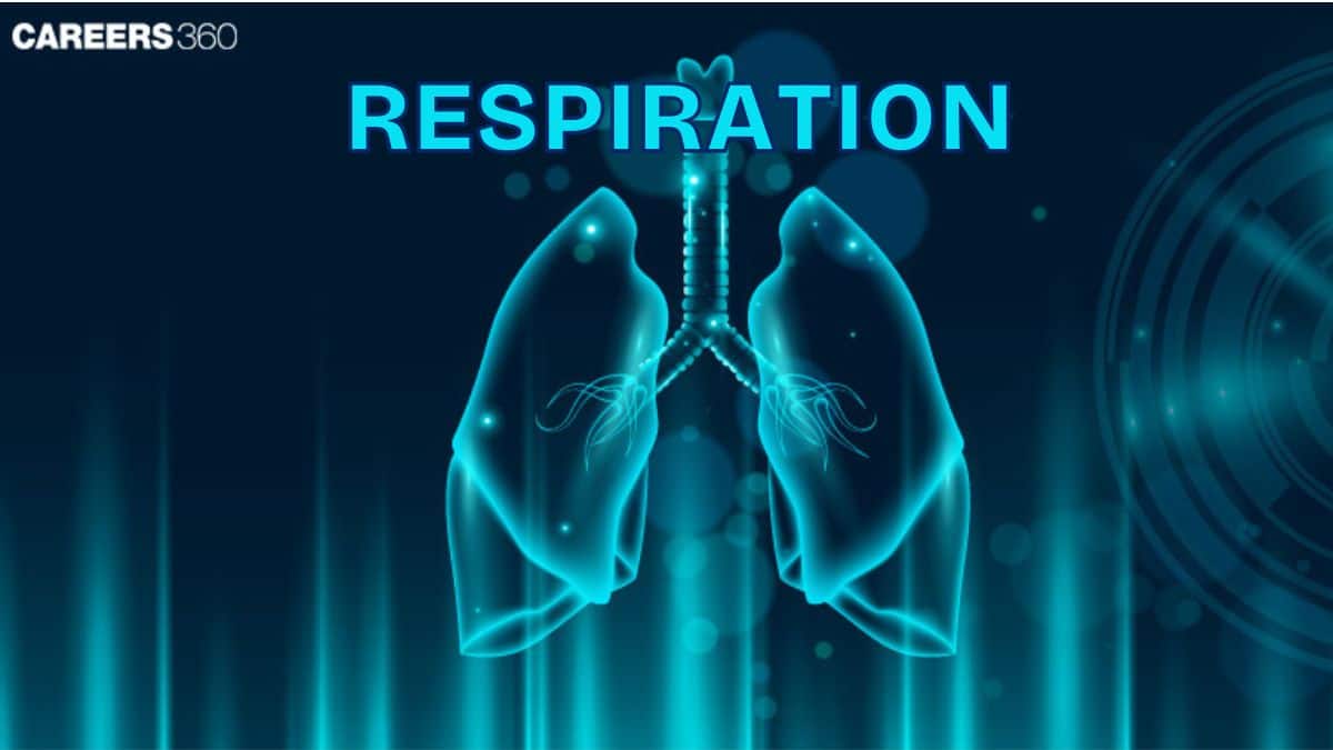 Respiration: Definition, Types, Diagram and Examples