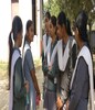 NIOS Class 10, 12 hall ticket 2025 out on sdmis.nios.ac.in; exam from October 14