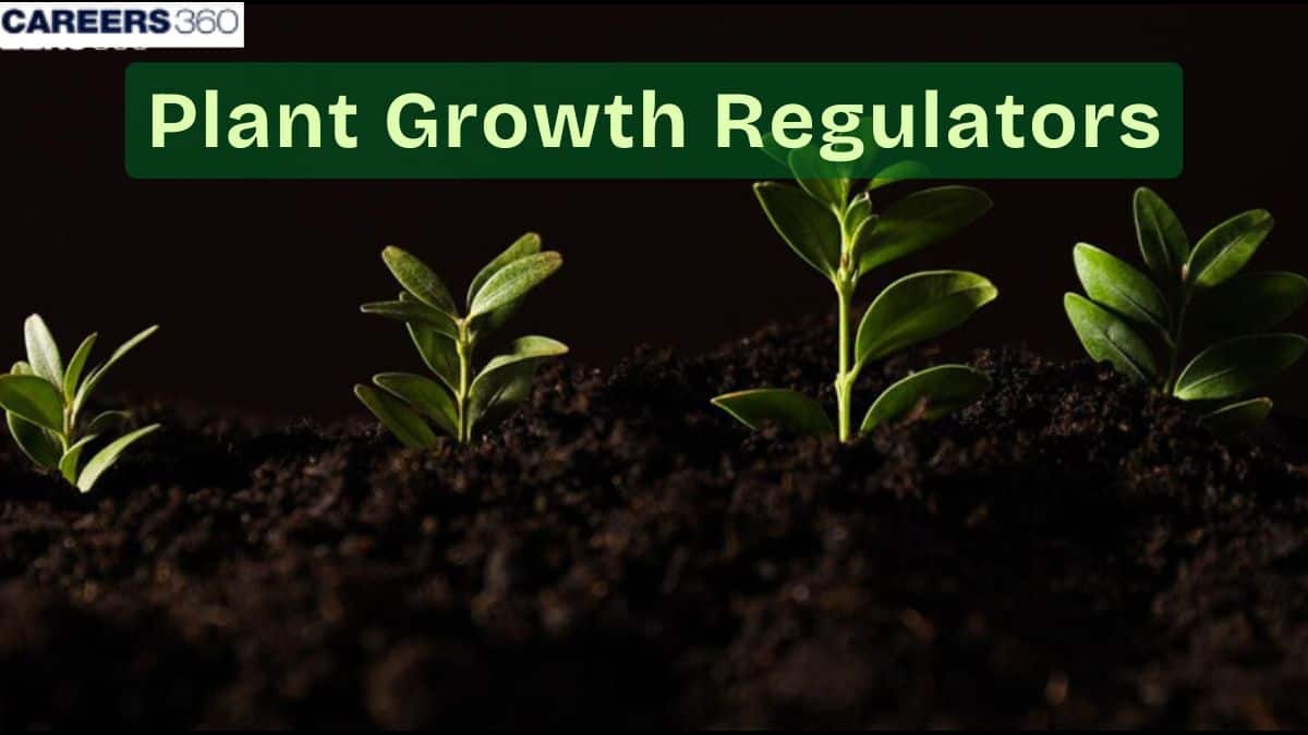 Plant Growth Regulators: Overview, Types,  Its Role In Plant Growth