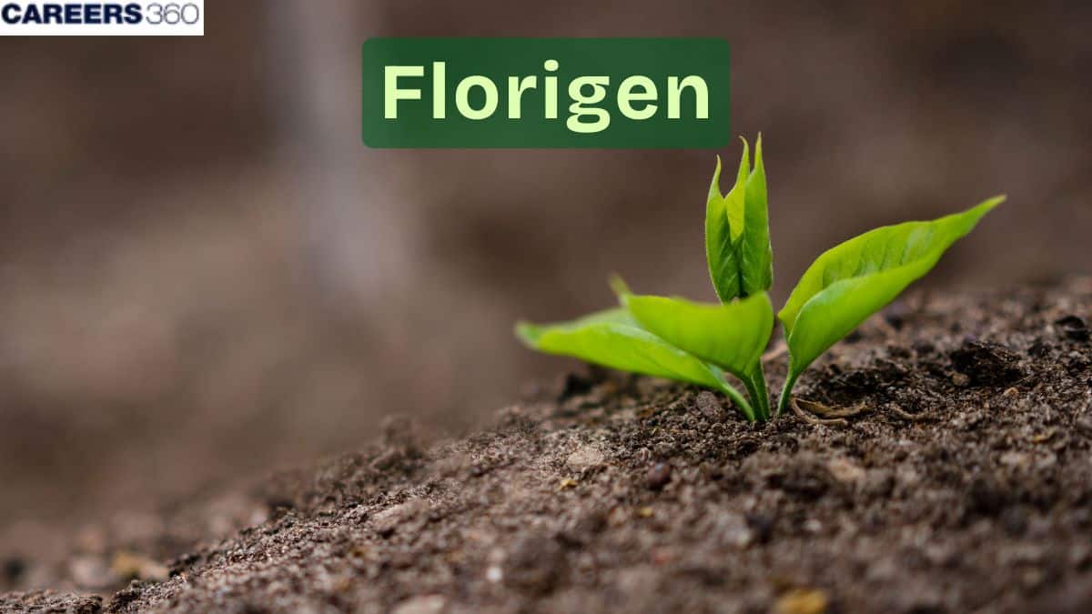 Florigen – Definition, Meaning, Stages, Importance, Facts