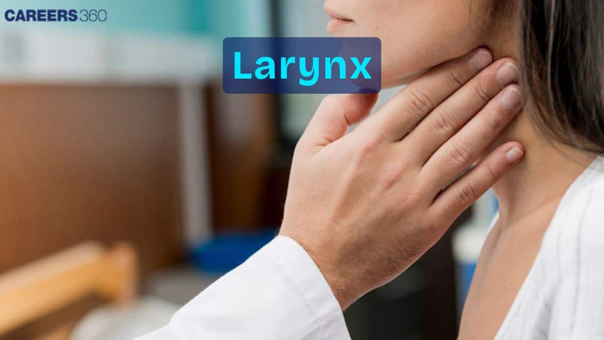 Larynx: Structure, Function, Muscles, Symptoms, Causes & Treatment