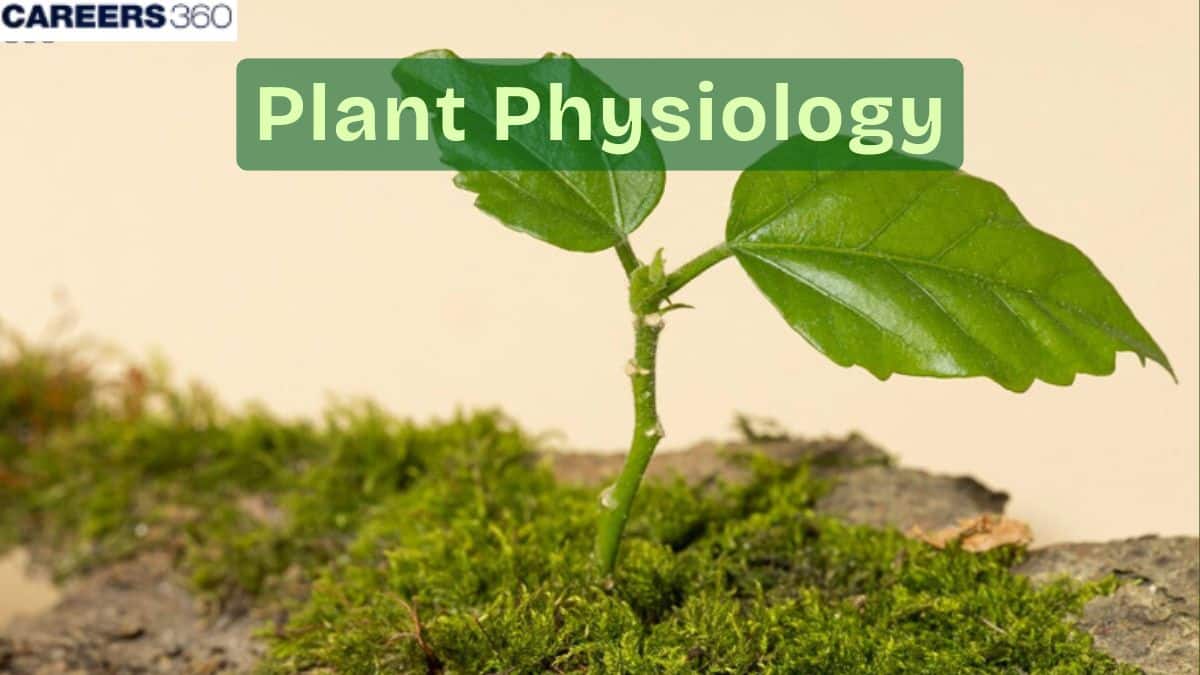 Plant Physiology: Definition, Regulation, Experiments