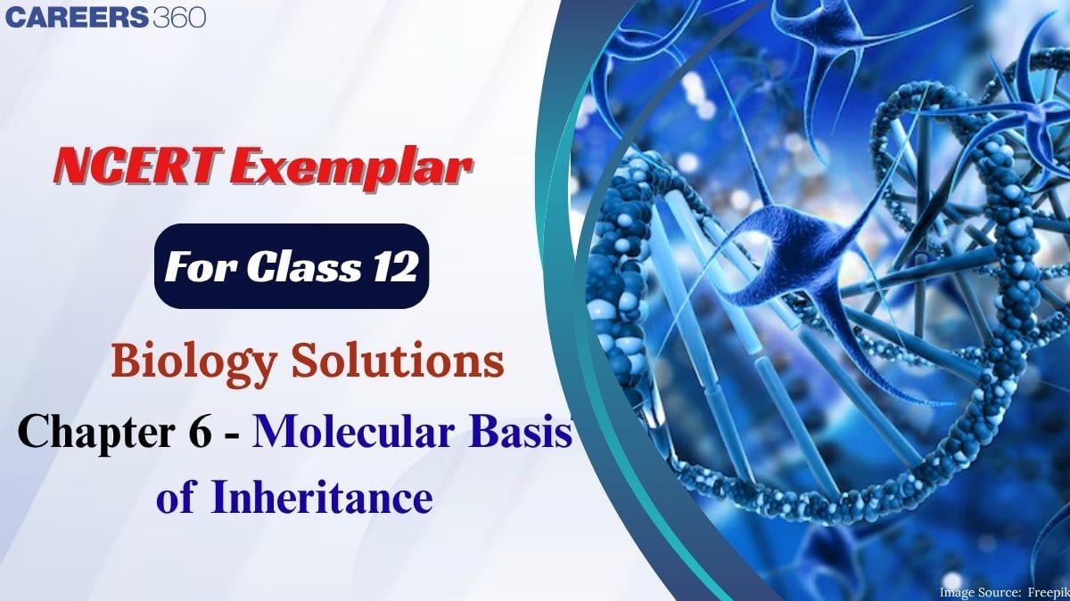 NCERT Exemplar Class 12 Biology Solutions Chapter 6 Molecular Basis of ...
