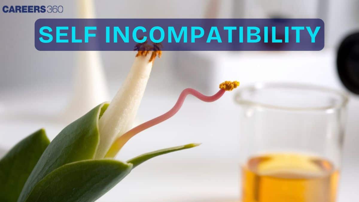Human Incompatibilty Self incompatibility: Definition, Meaning, Formation, Types, Functions ...