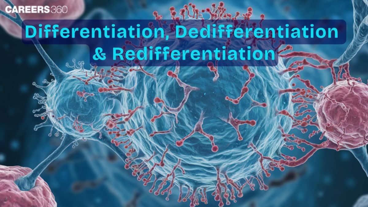 Differentiation Dedifferentiation And Redifferentiation:  Examples, Types