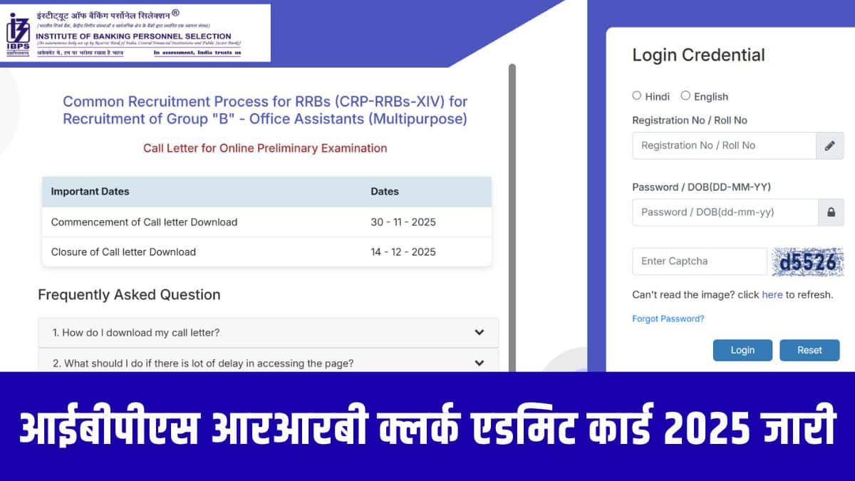 आईबीपीएस आरआरबी क्लर्क परीक्षा हॉल में प्रवेश पाने के लिए एडमिट कार्ड एक अनिवार्य दस्तावेज़ है। (आधिकारिक वेबसाइट)