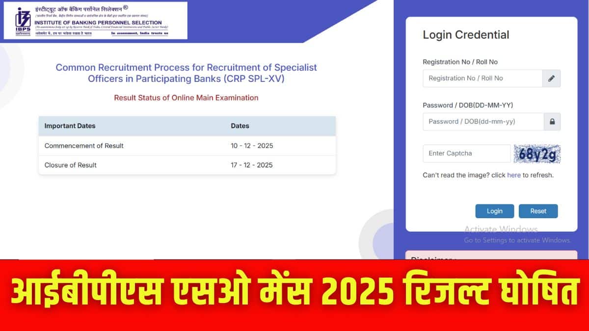 आईबीपीएस एसओ रिजल्ट ऑफिशियल वेबसाइट ibps.in पर उपलब्ध है। (इमेज-आधिकारिक वेबसाइट)
