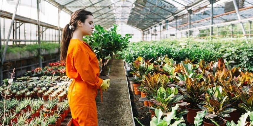 लोग नौकरियों की कमी के कारण खुद की छोटी इकाइयां चला रहे हैं। (प्रतीकात्मक-फ्रीपिक)