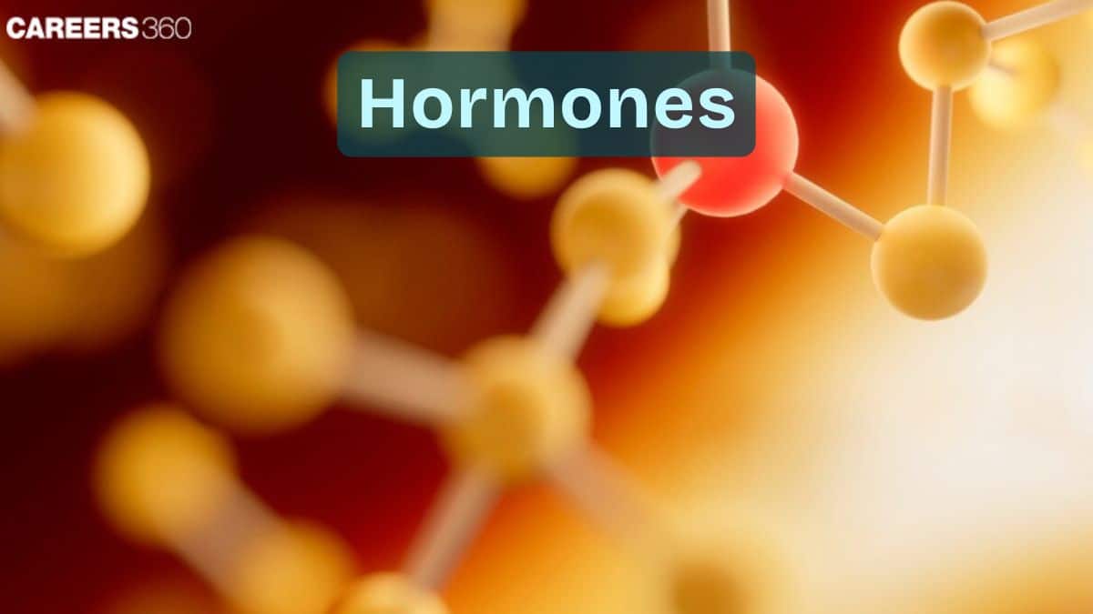 Hormones: Definition, What They Are, Function, Types, Causes, Symptoms, Treatment