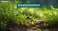Assimilation Definition Process NEET Notes Assimilation Definition Process NEET Notes