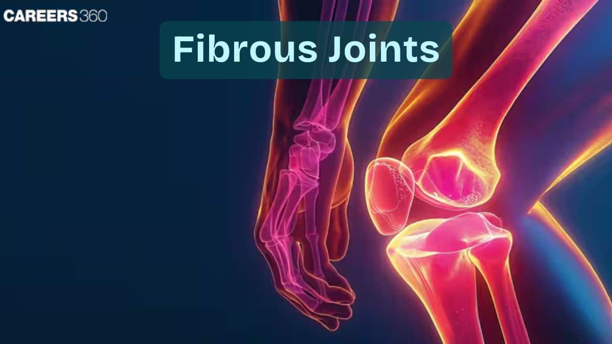 Fibrous Joints: Definition, Meaning, Examples, Types, Diagram, Classification