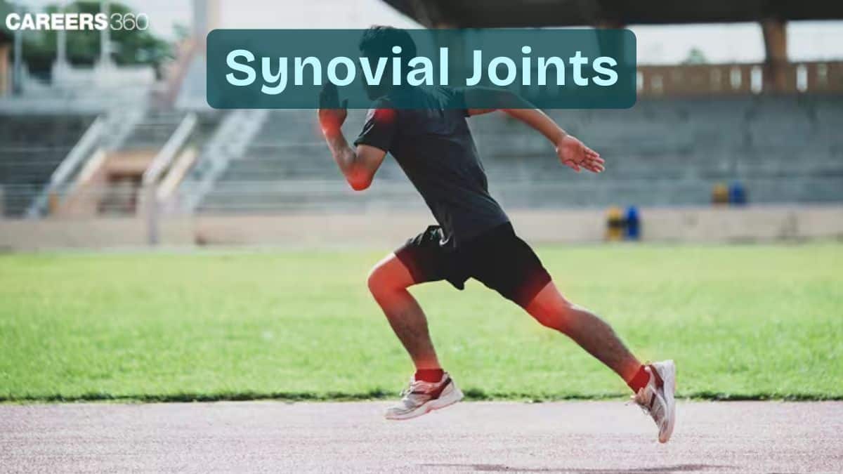 Synovial Joints: Definition, Meaning, Examples, Types, Diagram, Classification
