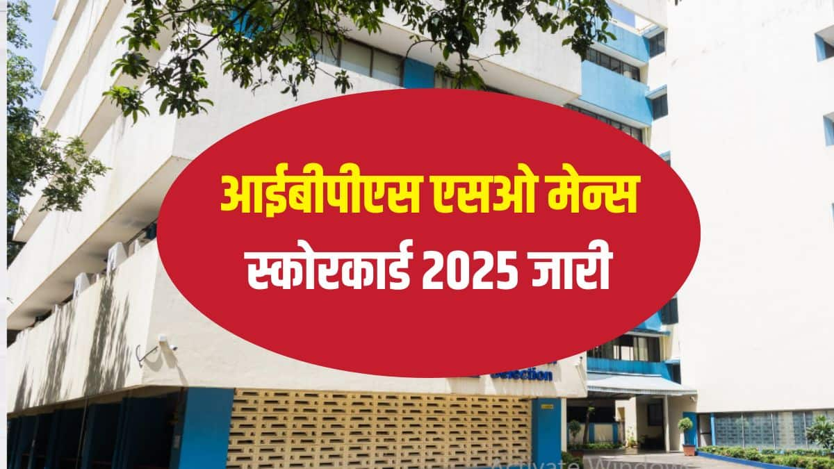 आईबीपीएस एसओ 2025 इंटरव्यू की तारीखें अभी घोषित नहीं की गई हैं। (आधिकारिक वेबसाइट)