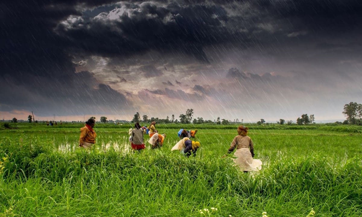 Maharashtra has 207 agriculture colleges, which are affiliated to four public universities. (Source: Wikimedia Commons)