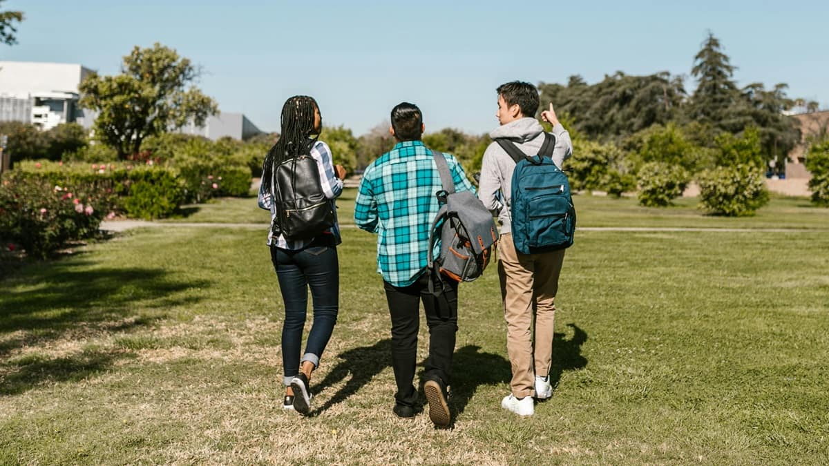 JEE Main 2025 Results: State-wise, category-wise, gender-wise toppers here. (Representational Image: Pexels.com)