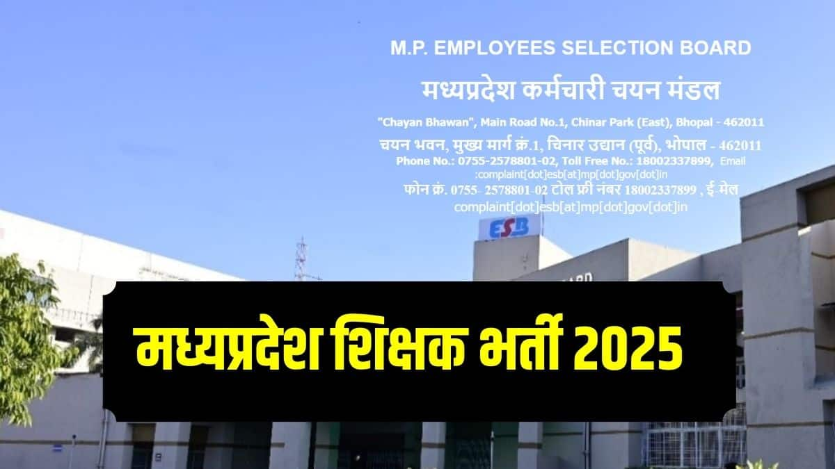 एमपीईएसबी शिक्षक भर्ती 2025 की चयन प्रक्रिया में लिखित परीक्षा, दस्तावेज सत्यापन और एक मेडिकल परीक्षा शामिल होगी। (आधिकारिक वेबसाइट)