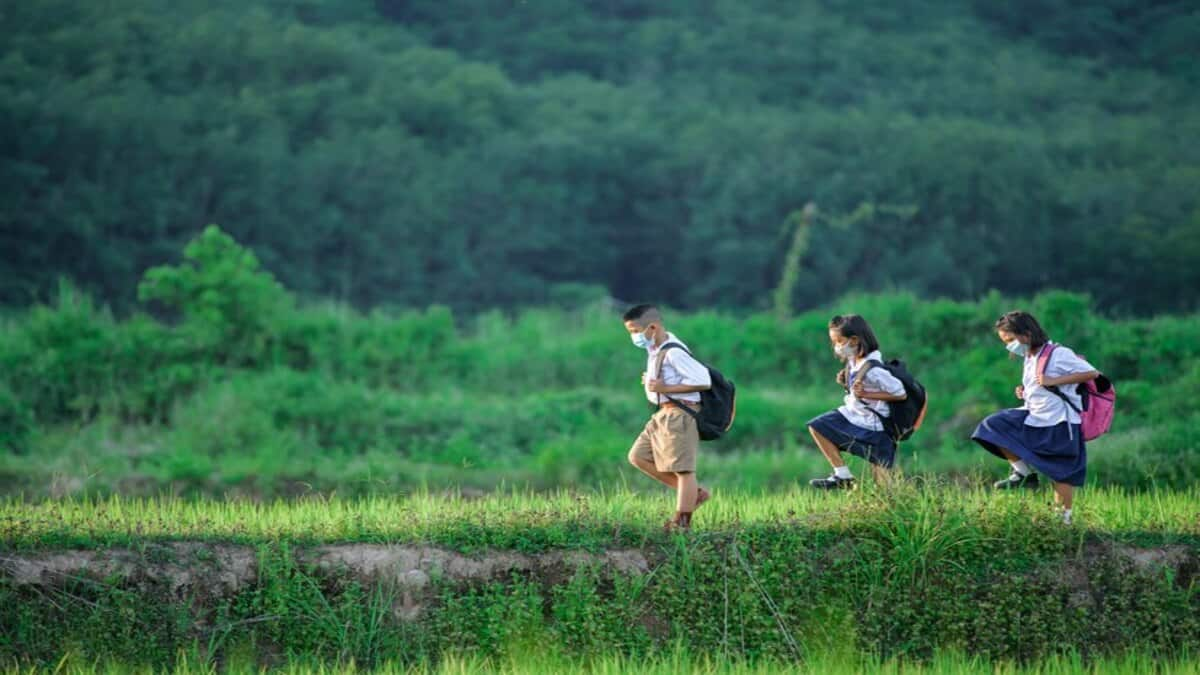 Nagaland to provide 100% scholarships to home state students of Sainik School. (Representational image: Freepik)