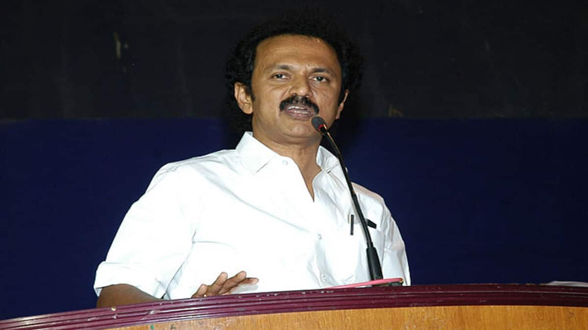 The BJP was trying to increase the number of MPs in states of their influence and thereby develop party, but the DMK will stop it, TN CM Stalin said. (Image source: Wikimedia Commons)