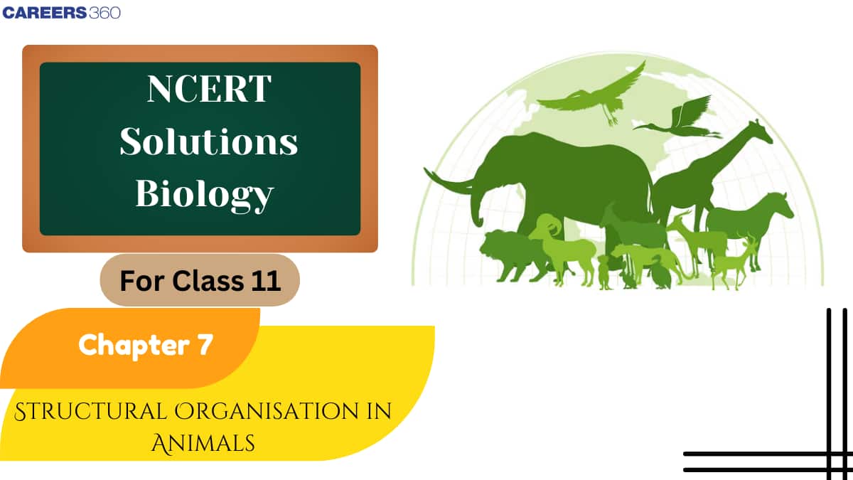 NCERT Solutions for Class 11 Biology Chapter 7 - Structural Organisation in Animals