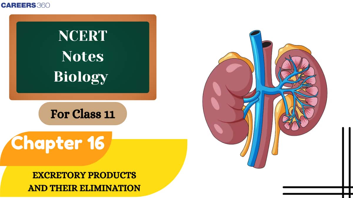 NCERT Class 11 Biology Chapter 19 Notes Excretory Products And Their Elimination- Download PDF Notes