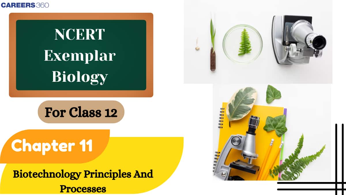 NCERT Exemplar Class 12 Biology Solutions Chapter 11 Biotechnology Principles And Processes