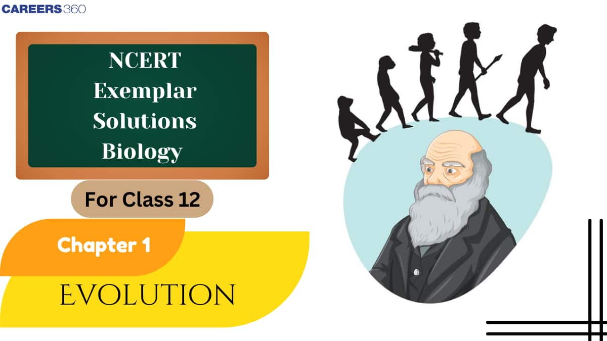 NCERT Exemplar Class 12 Biology Solutions Chapter 7 Structural Organisation in Animals