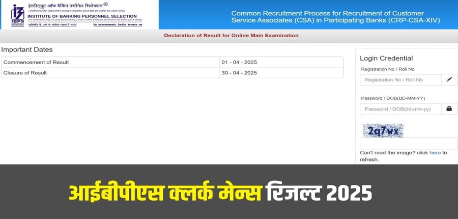आईबीपीएस ने क्लर्क मेन्स रिजल्ट 2025 के साथ-साथ स्कोरकार्ड, अंक और कटऑफ विवरण भी घोषित कर दिए हैं। (आधिकारिक वेबसाइट)