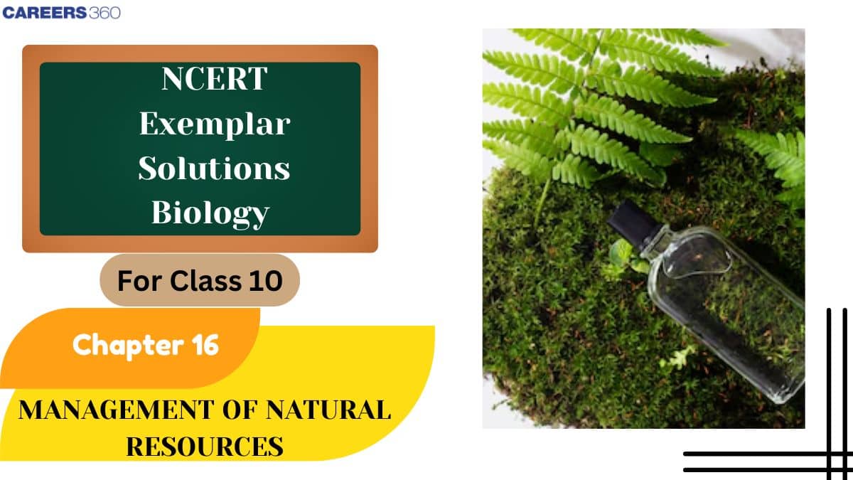 NCERT Exemplar Class 10 Science Solutions Chapter 16 Management of Natural Resources