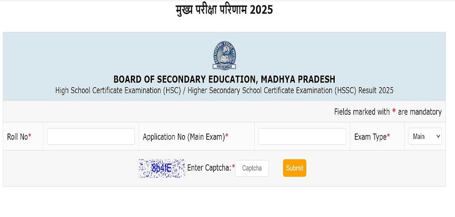 MP Board Class 10, 12 results 2025 declared at mpresults.nic.in. (Image source: Official)