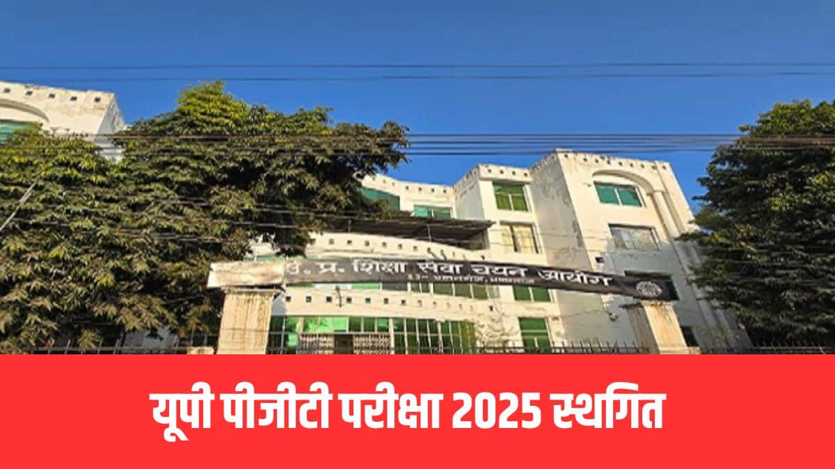 इस भर्ती अभियान का उद्देश्य टीजीटी और पीजीटी पदों के लिए कुल 4163 रिक्तियों को भरना है। (आधिकारिक वेबसाइट)