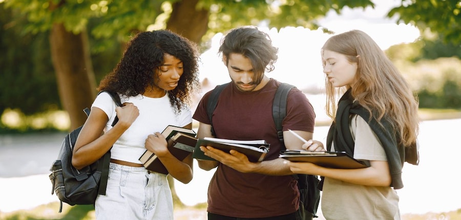 IRCC has updated the PGWP-eligible list to 920 fields of study ( Image : Freepik)