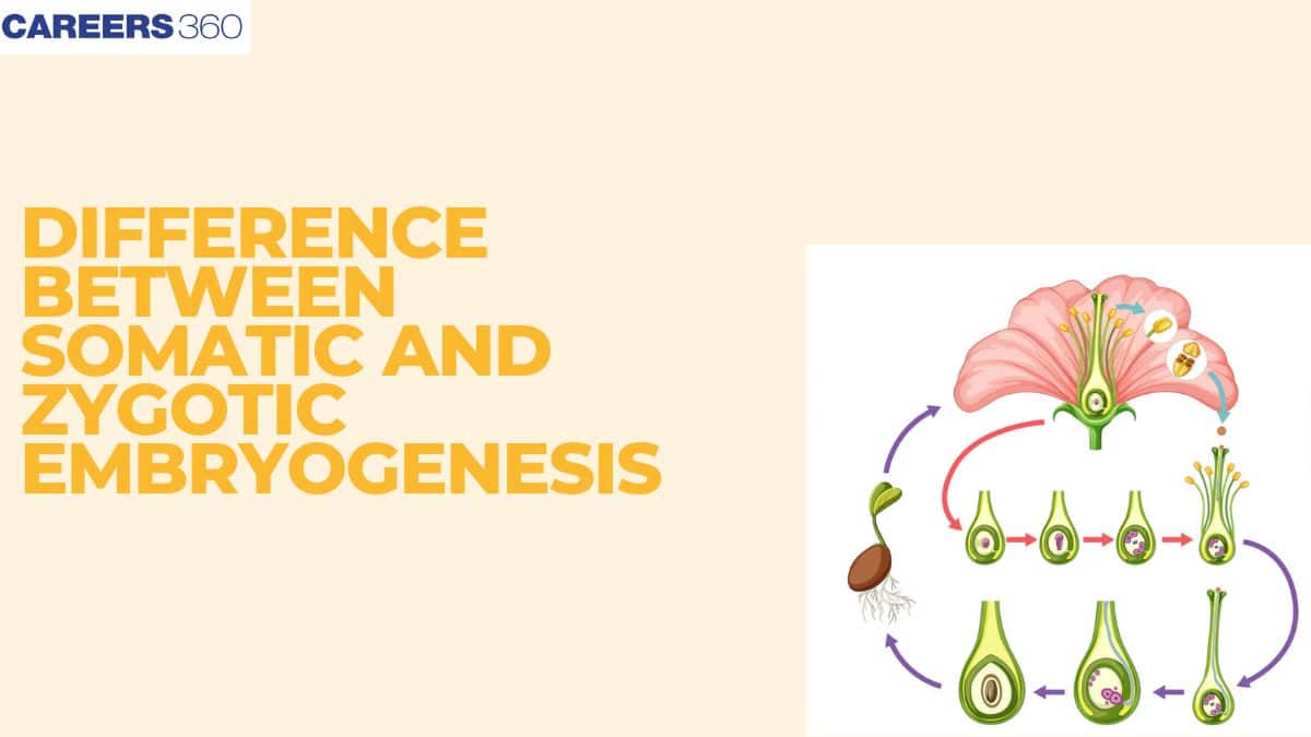 Difference Between Somatic And Zygotic Embryogenesis