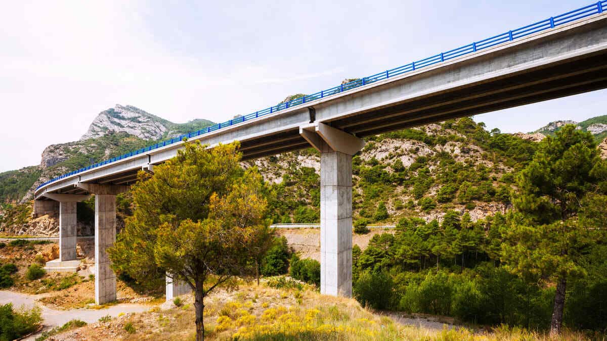 IIT Delhi, IIT Patna to assess bridges' quality in Bihar (Representational Image: Freepik)