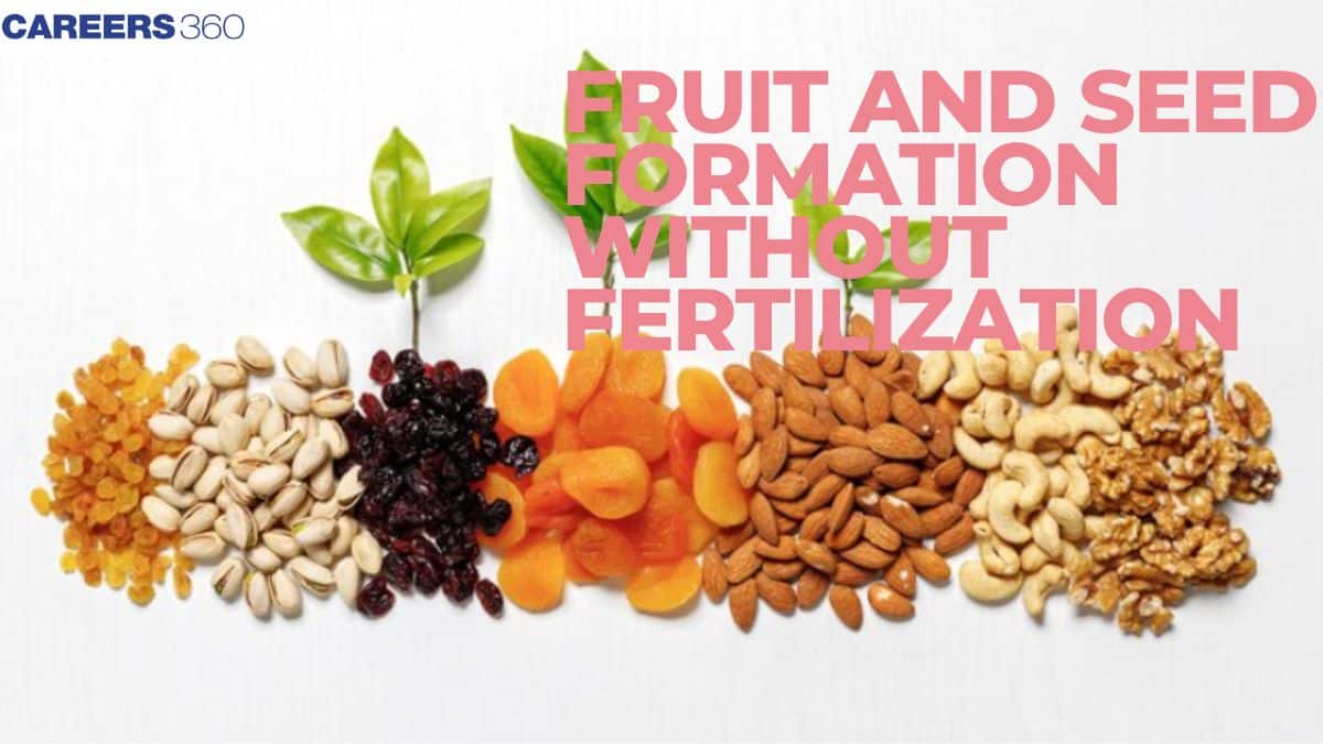 Fruit and Seed Formation Without Fertilization: Formation and Development