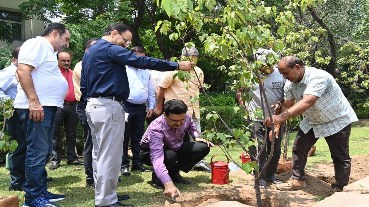 DU vice chancellor Yogesh Singh encouraged participation in the PM’s 'Ek Ped Maa Ke Naam' 2.0 campaign, which aims to plant 10 crore trees across the country. (Image source: Official X account of DU)